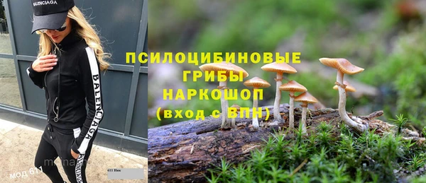 индика Абдулино