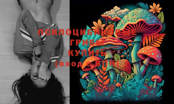 индика Абдулино